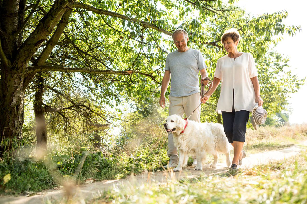 Get Back Into Action: Find Relief for Painful Spine Conditions